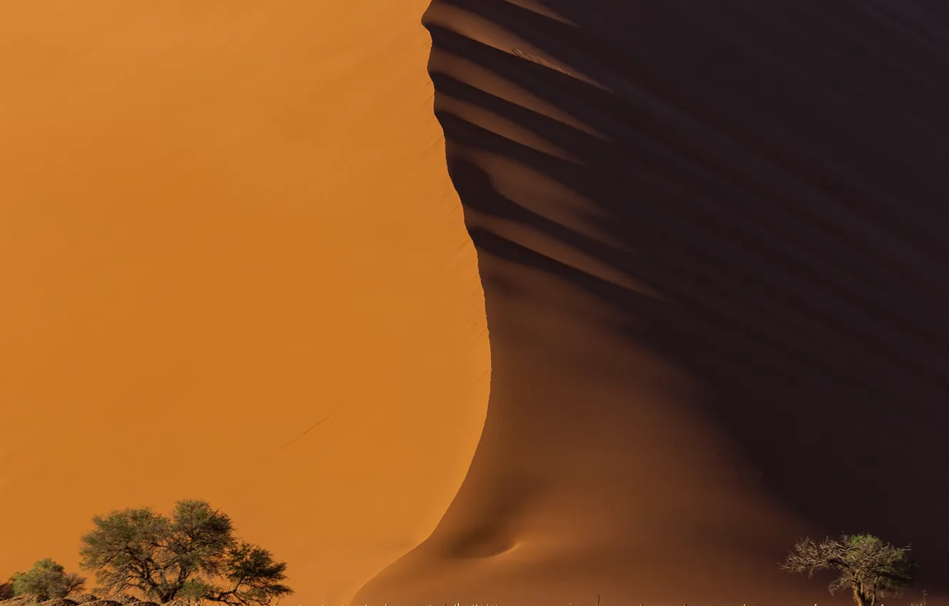 Photo wallpaper sand, light, desert, shadow, Namibia