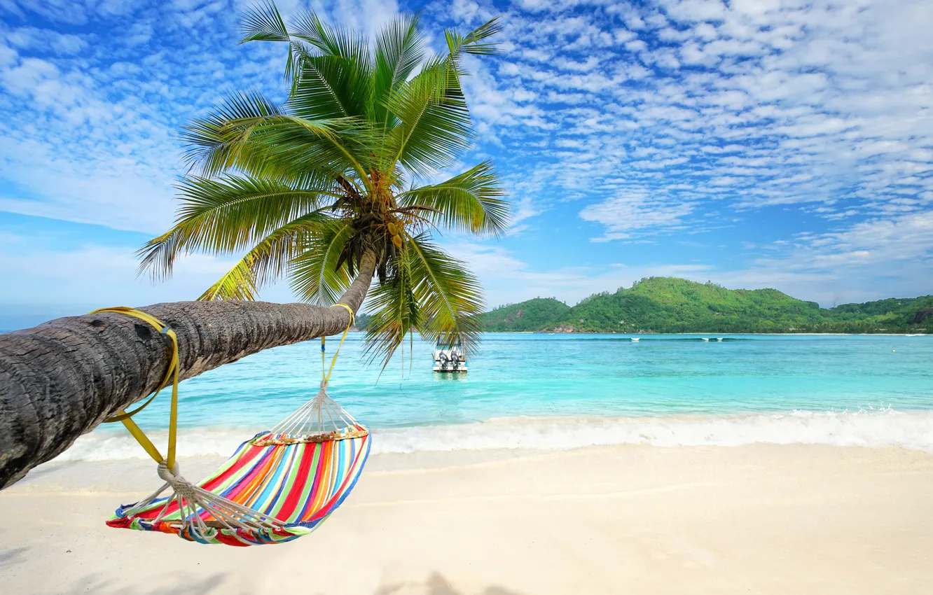 Photo wallpaper sand, sea, beach, summer, palm trees, hammock, summer, beach