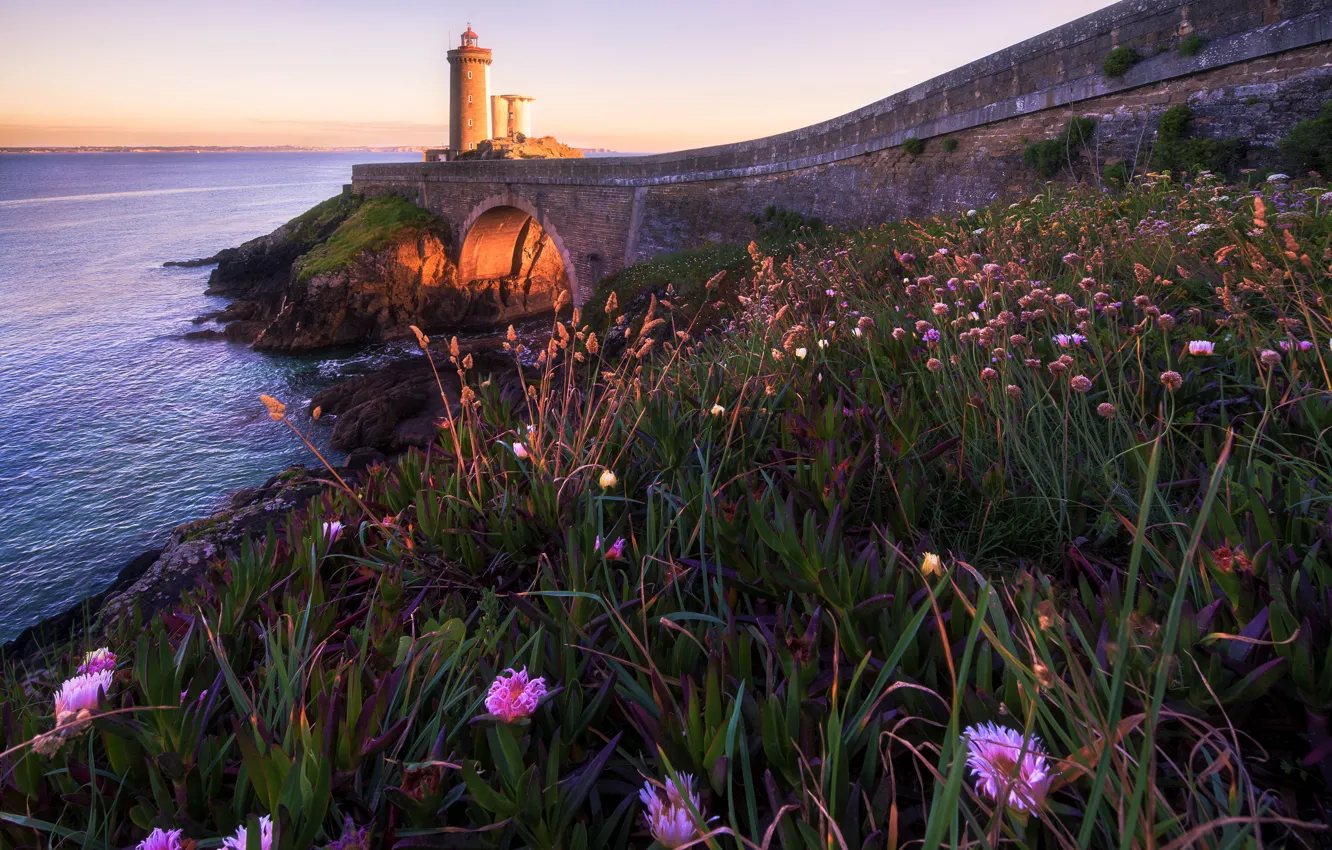 Photo wallpaper sea, flowers, shore, lighthouse, pierce