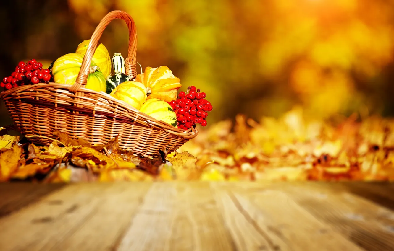 Photo wallpaper autumn, pumpkin, basket, Rowan