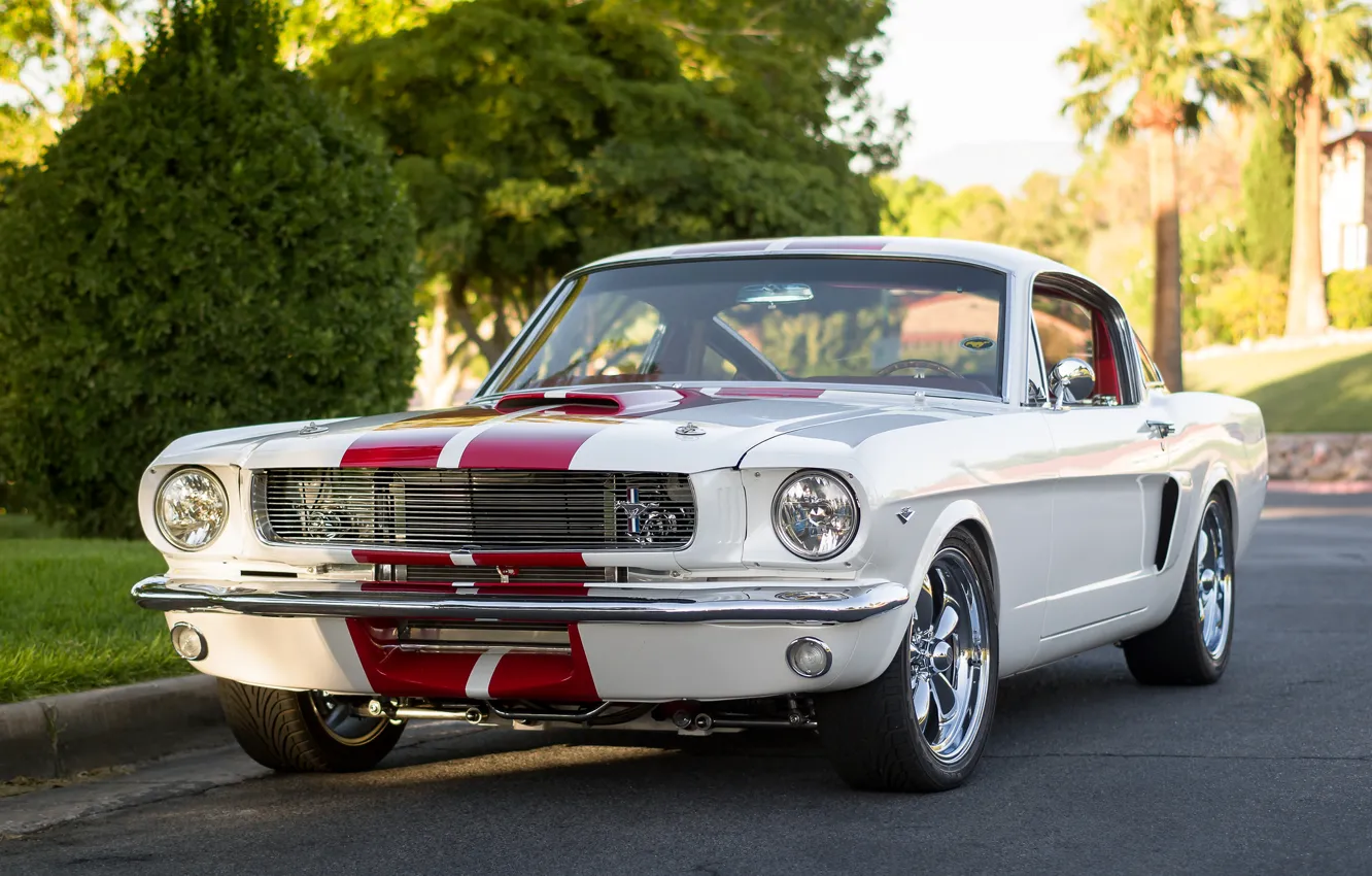 Photo wallpaper Mustang, Ford, classic, the front