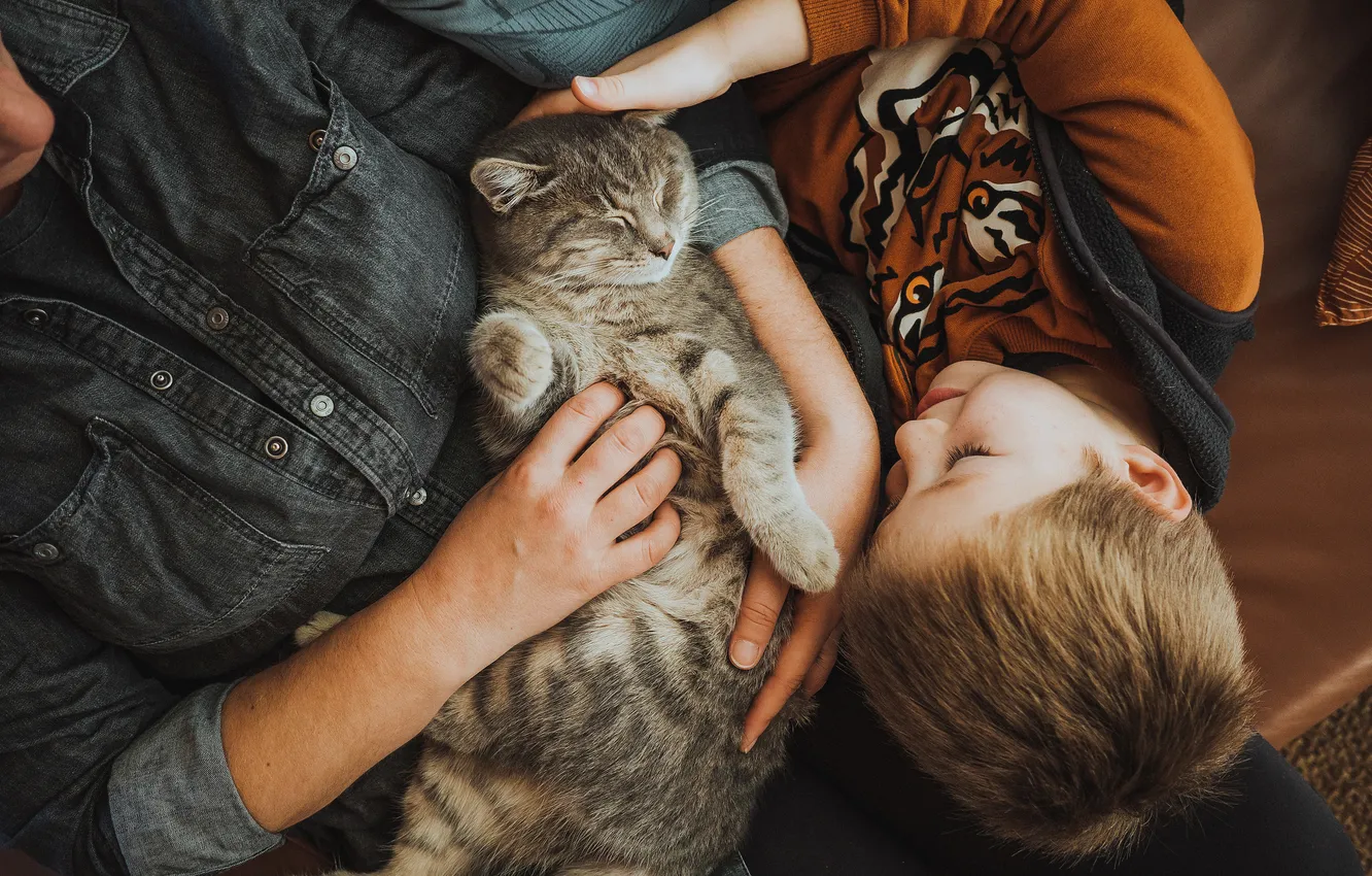 Photo wallpaper cat, cat, girl, love, children, smile, grey, sleep