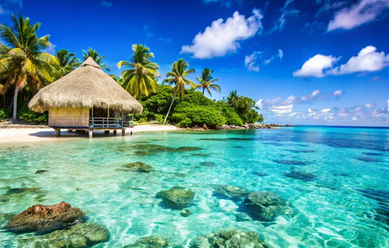 Photo wallpaper sand, sea, beach, summer, the sky, palm trees, summer, beach