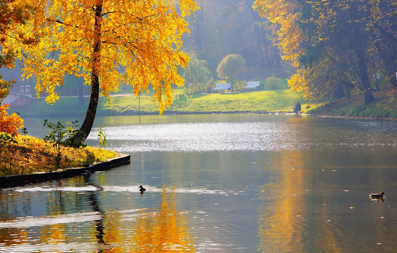 Photo wallpaper autumn, nature, pond, Park, river, duck, fisherman