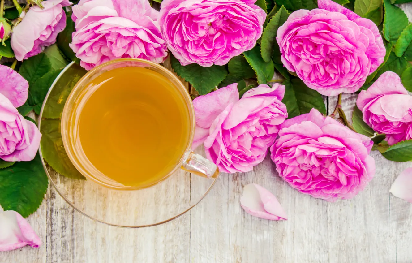 Photo wallpaper flowers, roses, petals, pink, wood, pink, flowers, cup