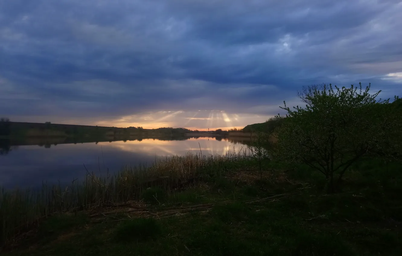 Photo wallpaper nature, pond, morning