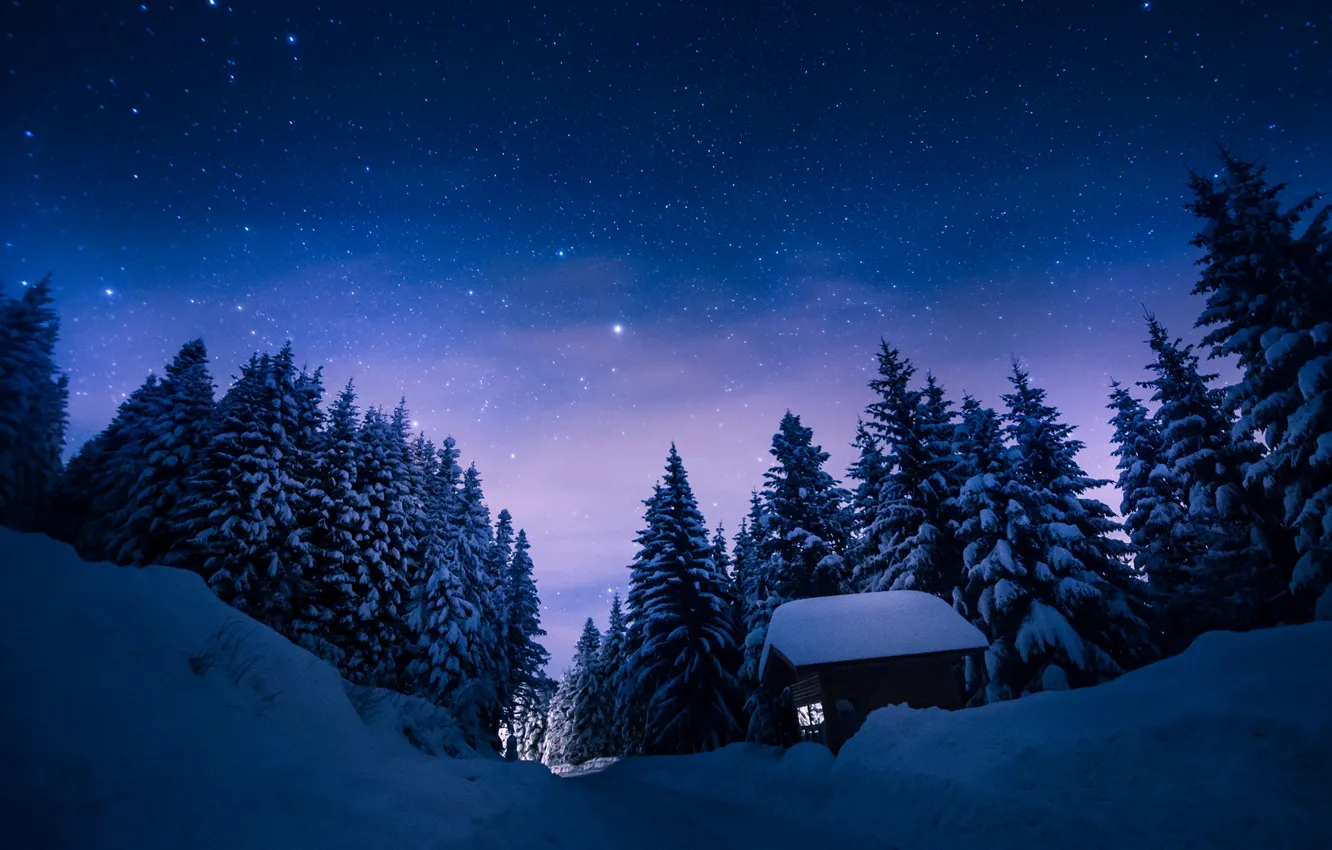 Photo wallpaper winter, road, the sky, stars, light, snow, trees, house
