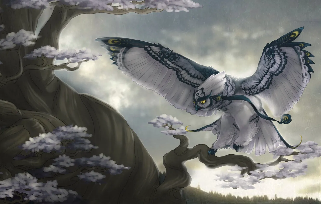 Photo wallpaper the sky, look, trees, flight, branches, rain, bird, wings