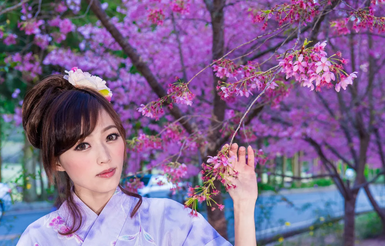 Photo wallpaper look, girl, trees, nature, style, Sakura, outfit