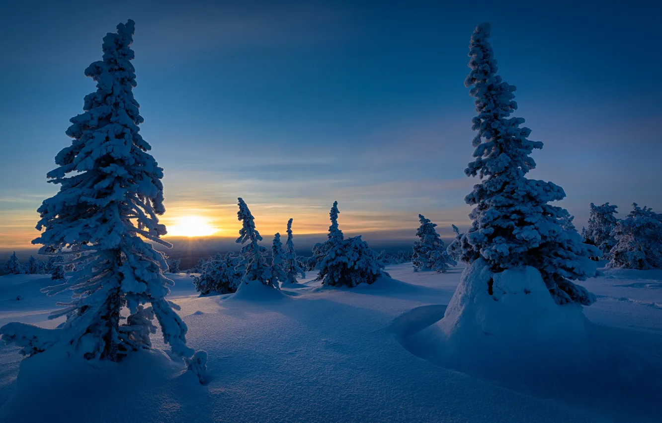 Photo wallpaper winter, snow, sunset, ate, Finland