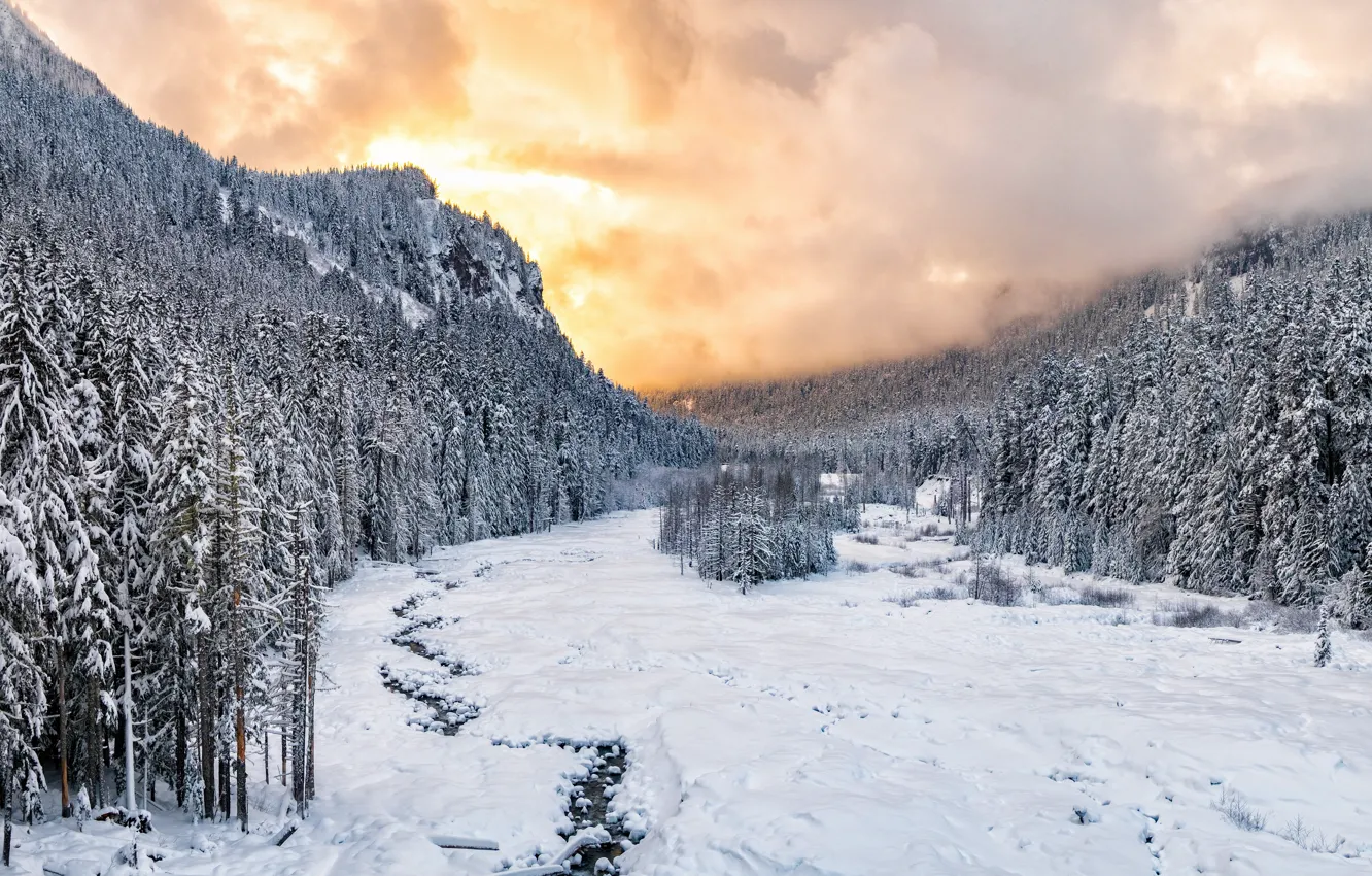 Photo wallpaper Sunset, winter, snow, national park, Nisqually River valley, Mount Rainie