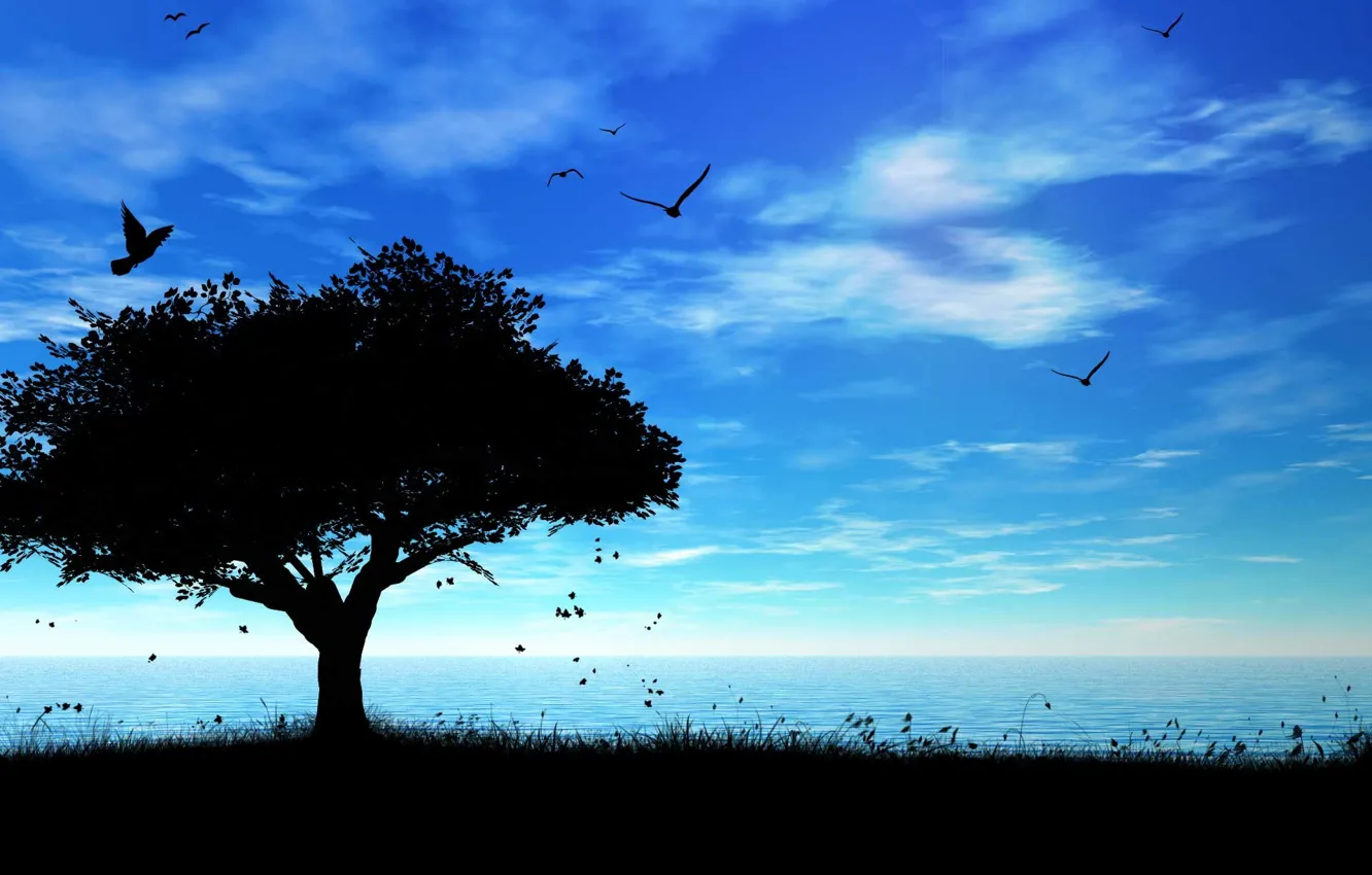 Photo wallpaper sea, the sky, tree, shadow, birds