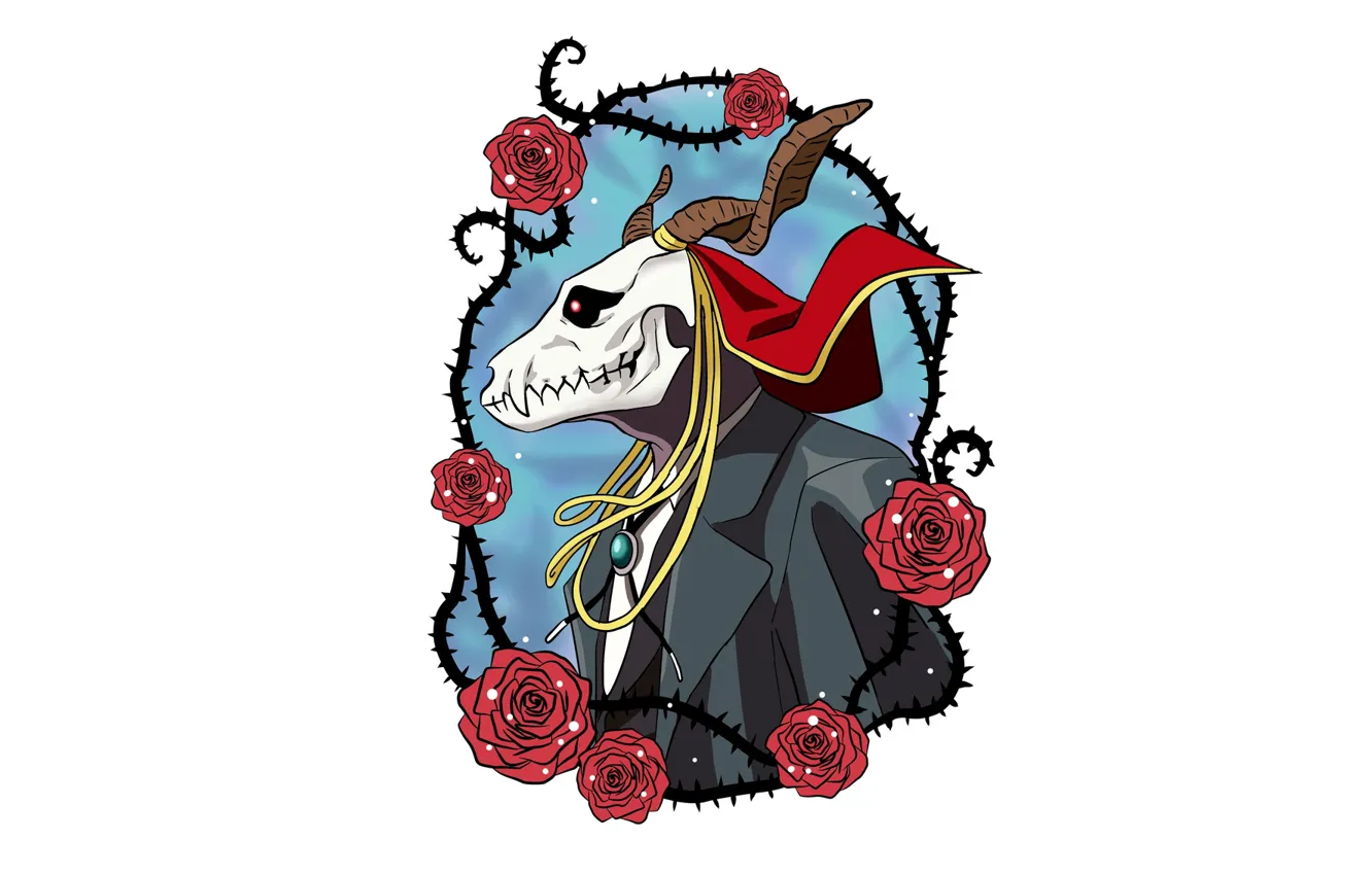 Photo wallpaper skull, roses, being, male, Mahou Tsukai no Yome, Bride of the sorcerer, Elias