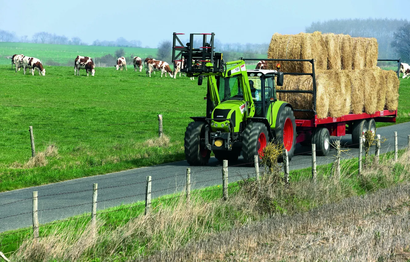 Photo wallpaper hay, tractor, the trailer, the herd, Claas, Arion 400