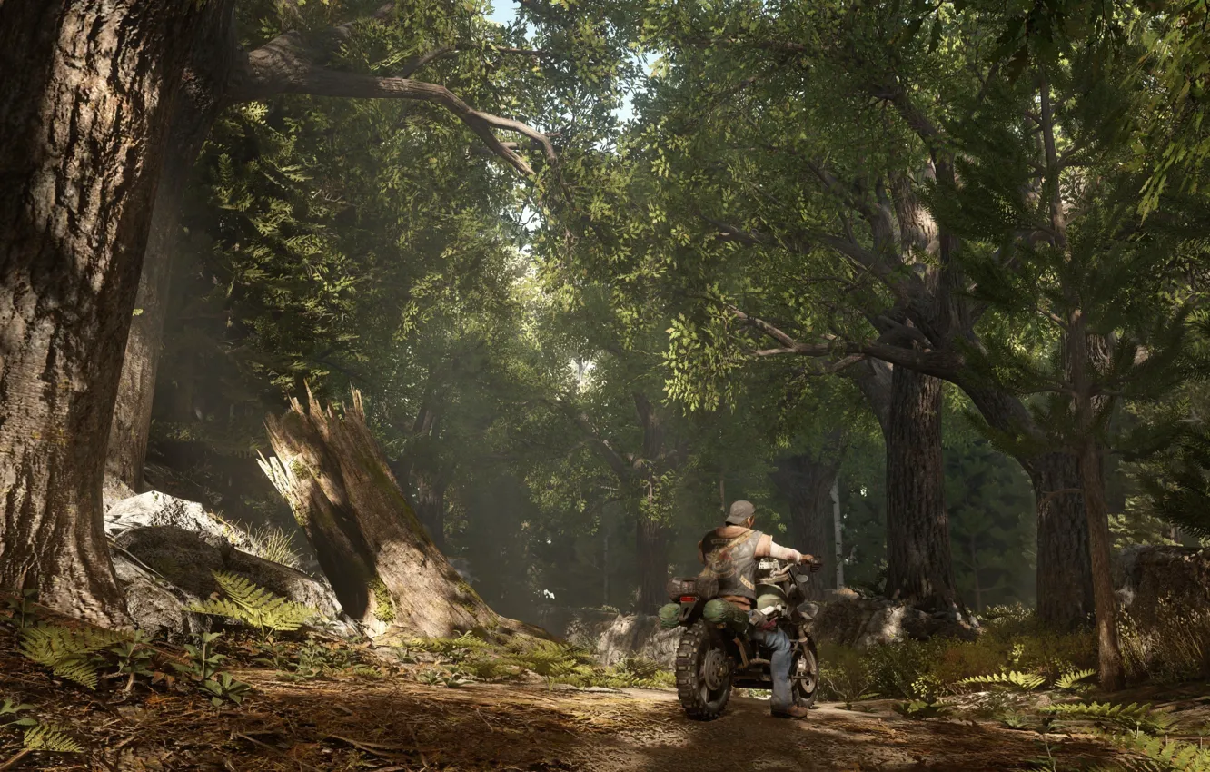 Photo wallpaper zombie, forest, Sony, bike, tree, man, survivor, fear
