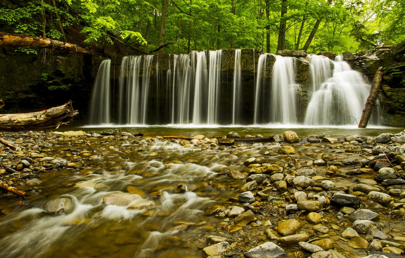Photo wallpaper forest, water, trees, waterfall, stones