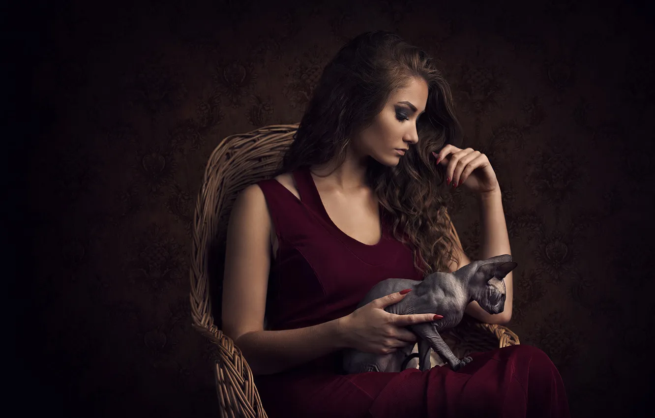 Photo wallpaper cat, cat, girl, pose, the dark background, chair, hands, makeup