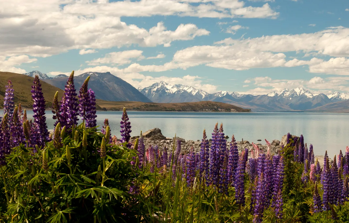 Photo wallpaper clouds, flowers, mountains, lake, stones, shore, New Zealand, Lake Tekapo