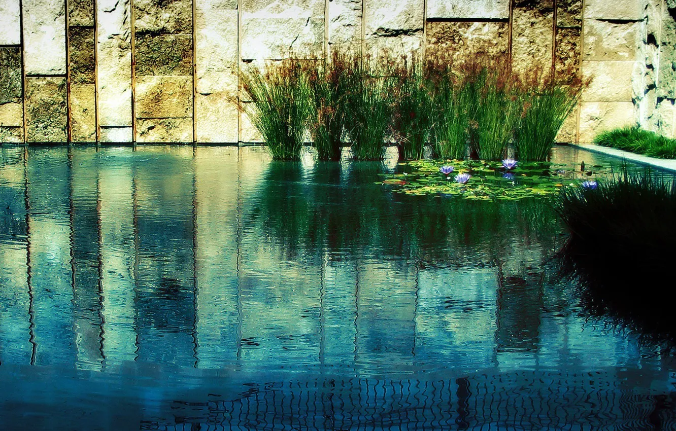 Photo wallpaper grass, water, pond, wall