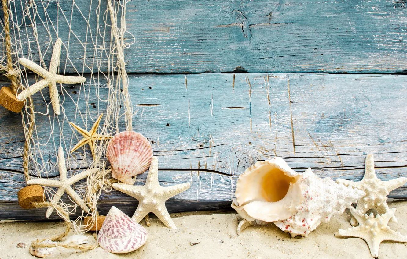 Photo wallpaper sand, beach, shell, beach, wood, sand, marine, seashells