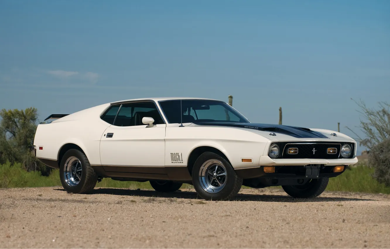 Photo wallpaper Mustang, Ford, 1971, muscle car, Mach I 429