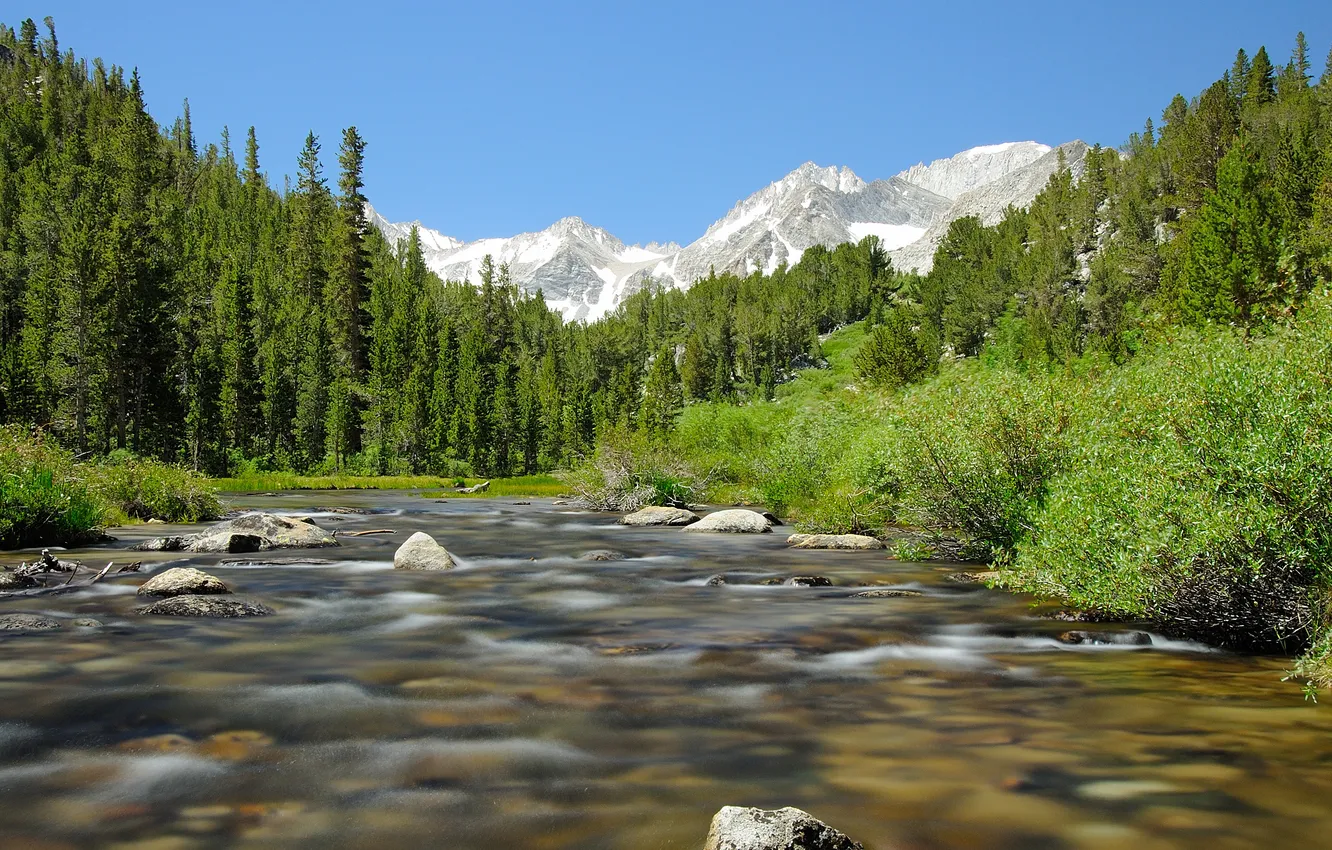 Photo wallpaper forest, the sky, river, stones, stream