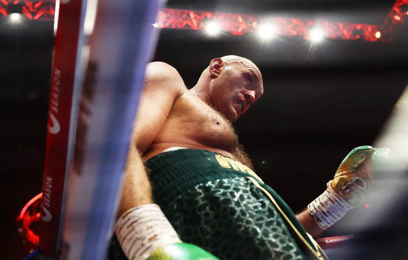 Photo wallpaper boxing, Tyson Fury, Tyson Fury