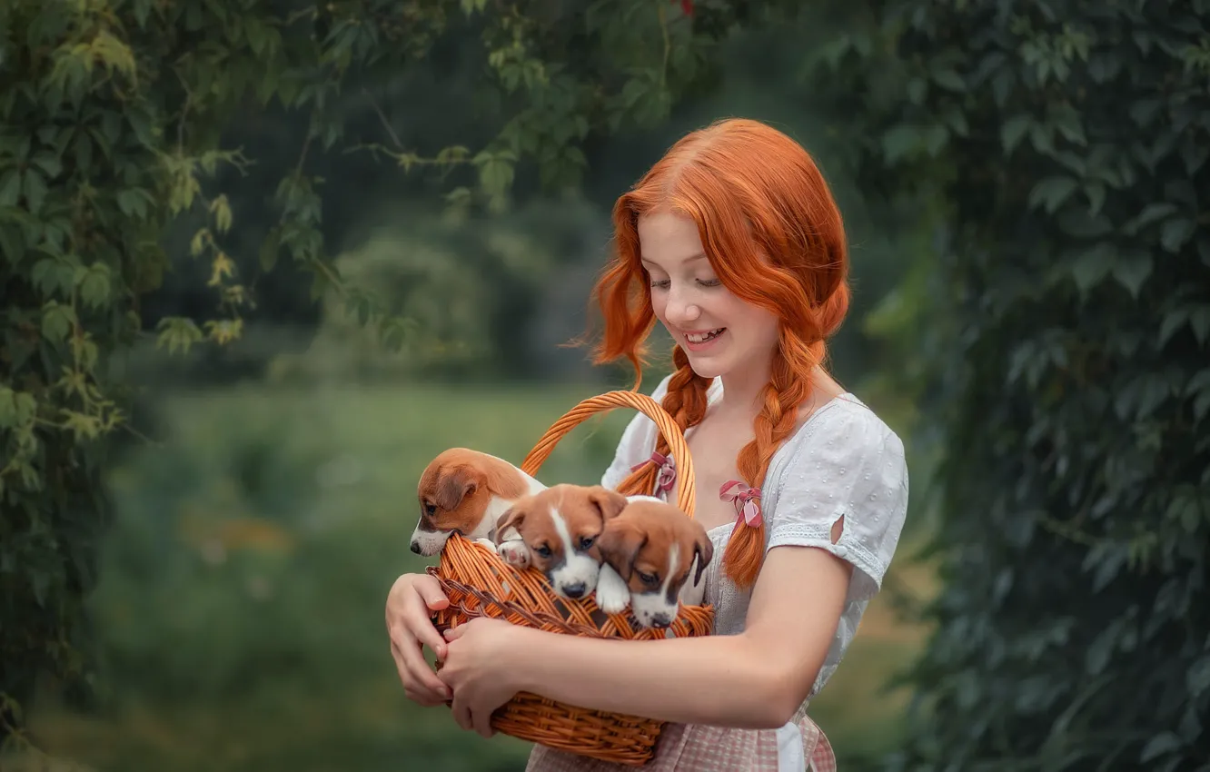 Photo wallpaper greens, summer, look, leaves, girl, nature, smile, Park