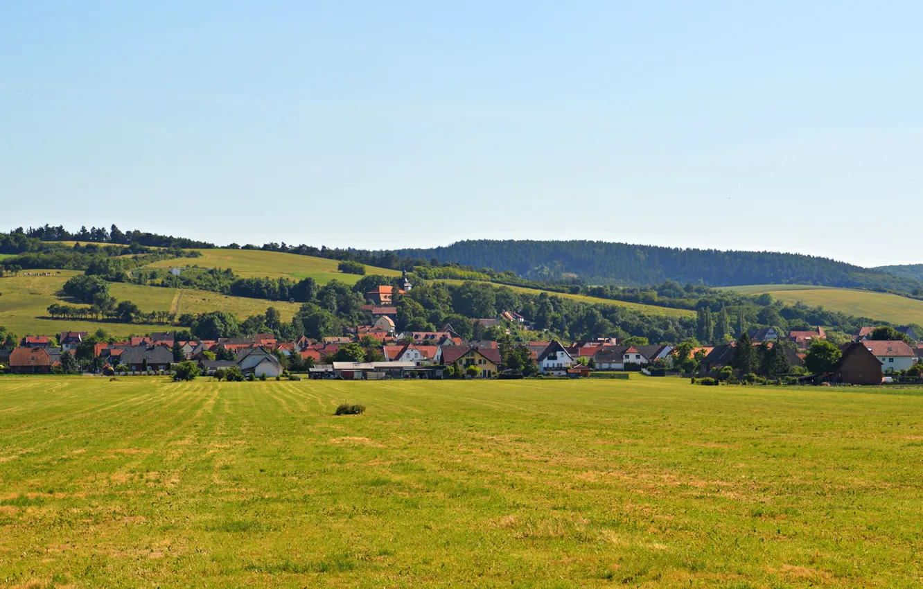 Photo wallpaper greens, field, forest, the sky, grass, the sun, trees, Germany