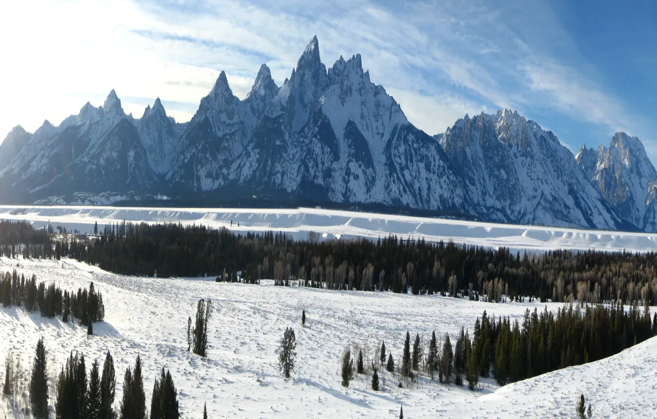 Photo wallpaper winter, the sky, clouds, snow, trees, mountains, USA, Wyoming