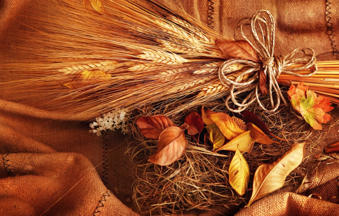 Photo wallpaper wheat, autumn, leaves, grain, yellow, spikelets, ears