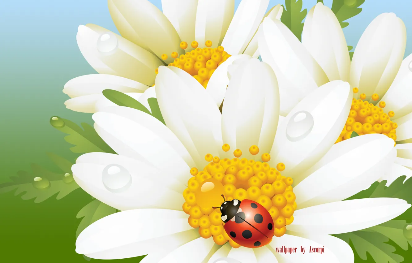 Photo wallpaper the sky, grass, ladybug, chamomile