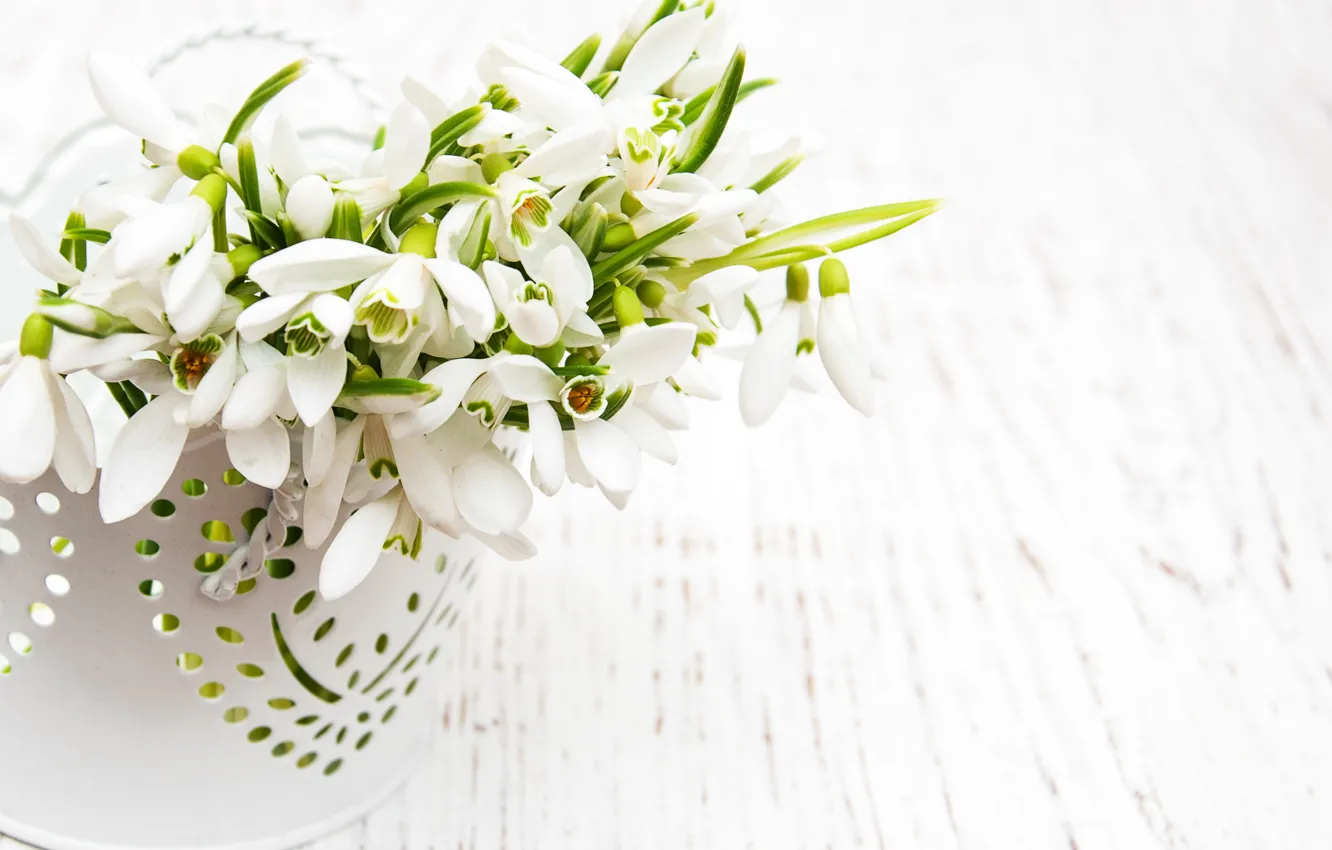 Photo wallpaper flowers, bouquet, snowdrops, white, white, flowers, spring, snowdrops