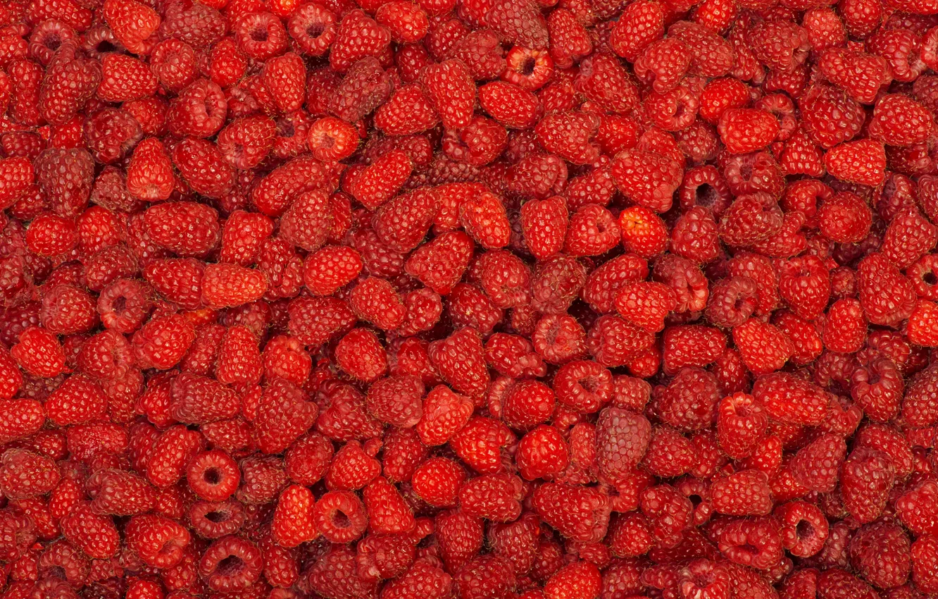Photo wallpaper raspberry, berry, a lot
