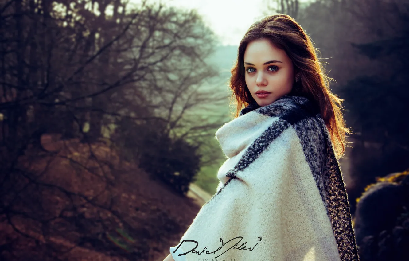 Photo wallpaper forest, girl, the sun, trees, model, portrait, makeup, hairstyle