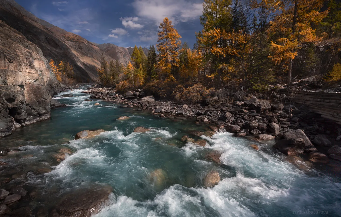 Photo wallpaper autumn, landscape, mountains, nature, river, stones, Altay, Karagem