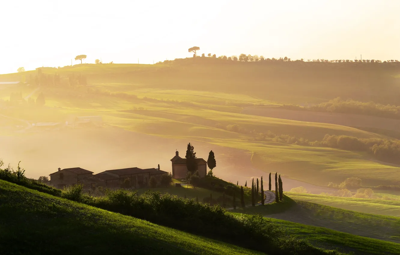 Photo wallpaper fog, dawn, Italy, Tuscany