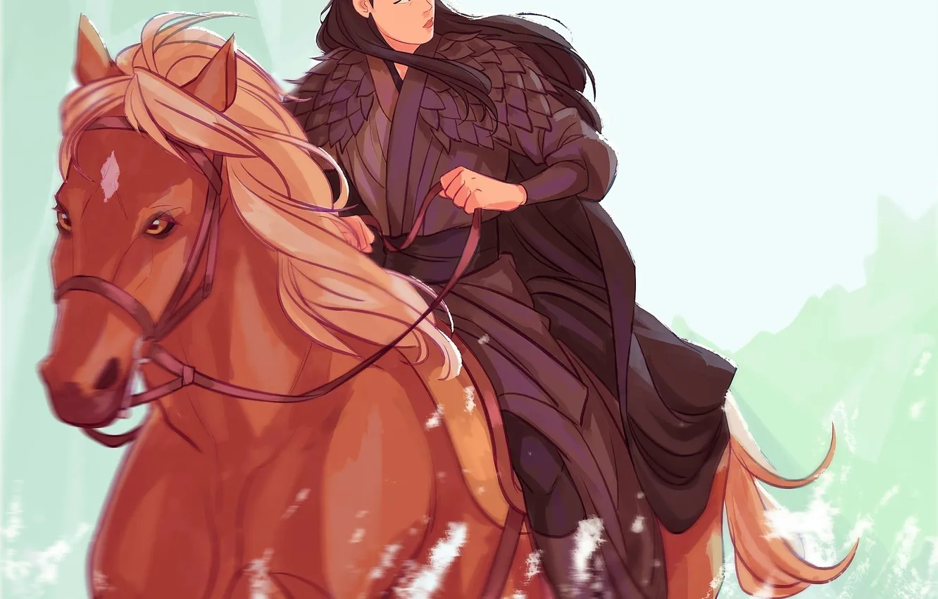 Photo wallpaper squirt, horse, armor, China, guy, the Emperor