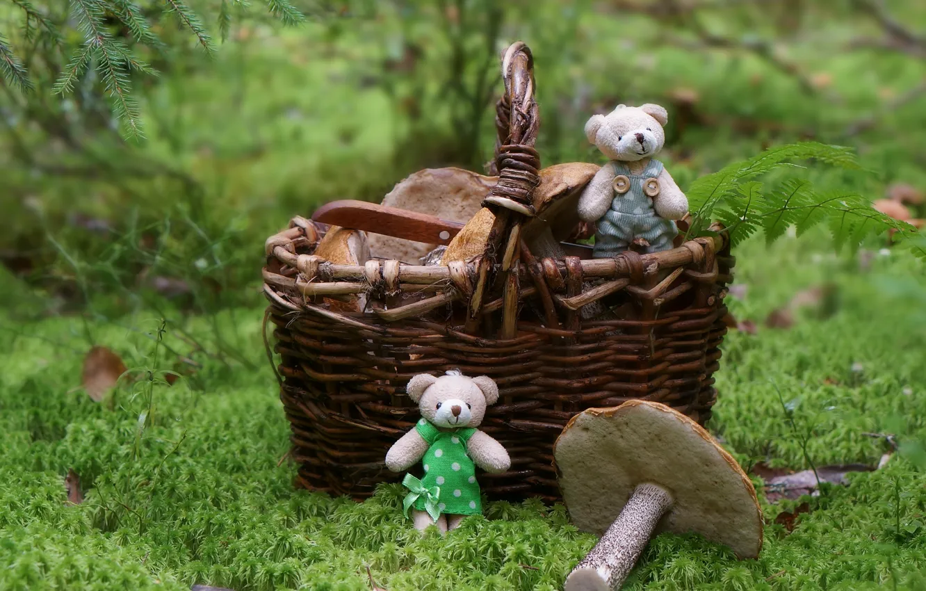Photo wallpaper forest, basket, toys, mushrooms, bears