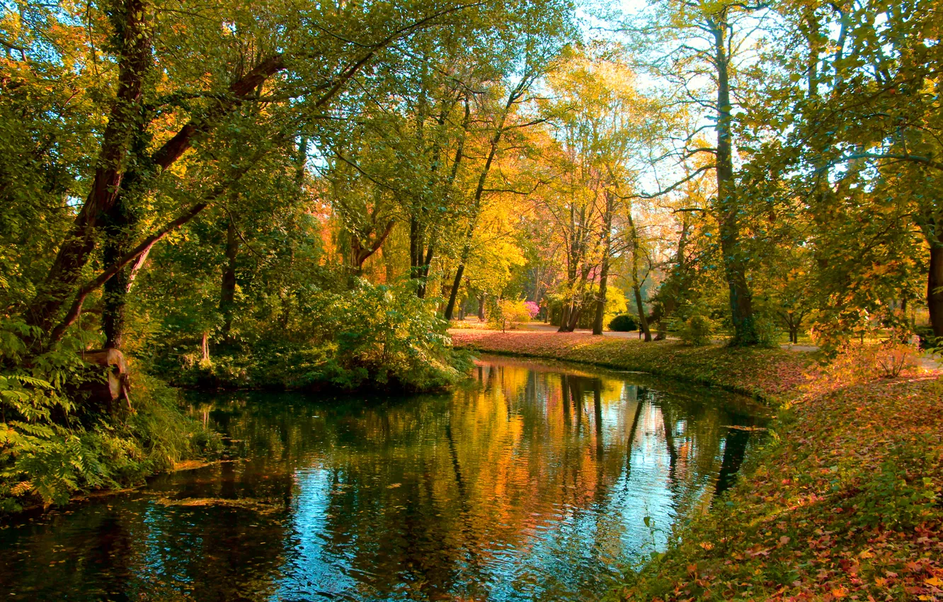 Photo wallpaper river, park, autumn, fall