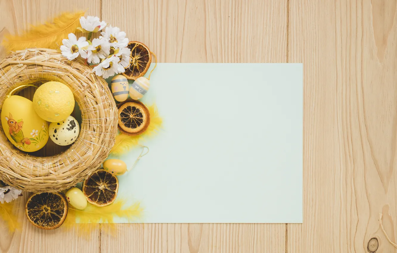 Photo wallpaper flowers, holiday, eggs, spring, Easter, socket