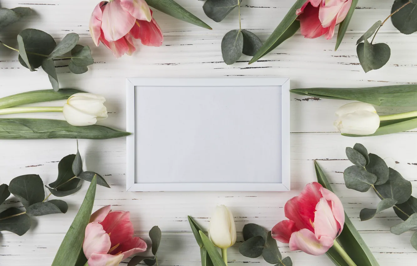 Photo wallpaper flowers, frame, tulips, pink, white, white, wood, pink