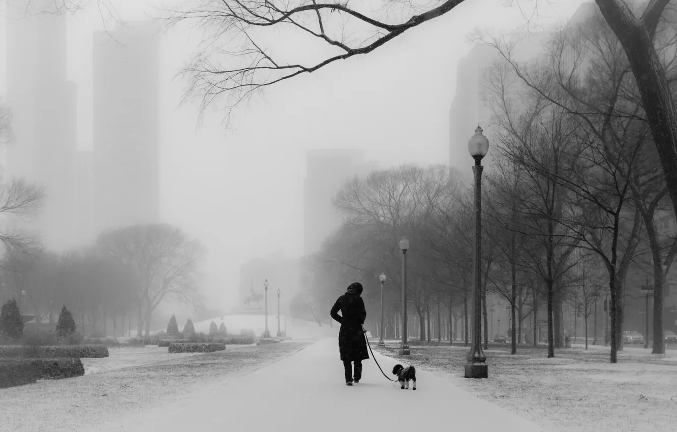 Photo wallpaper the city, street, walk