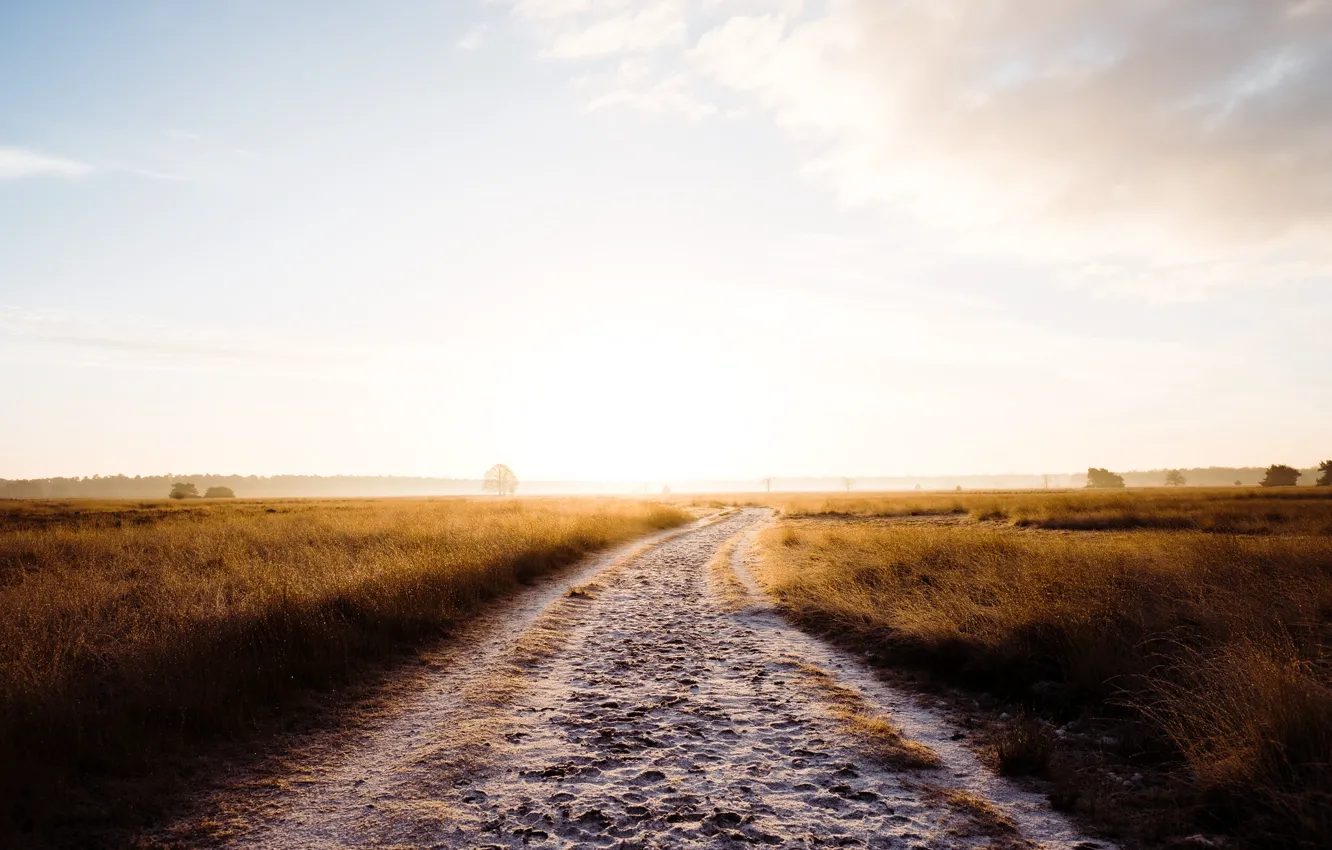 Photo wallpaper road, fog, morning