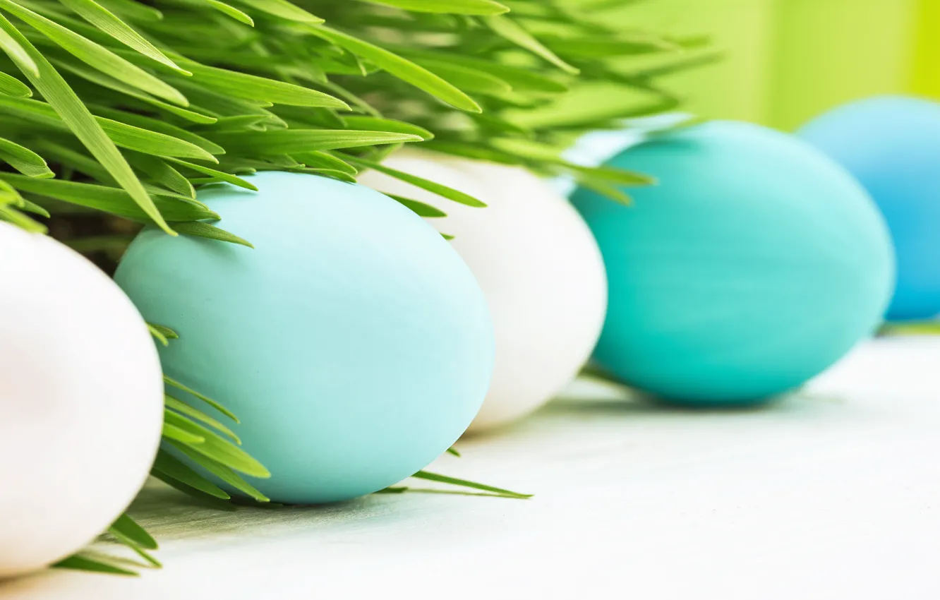 Photo wallpaper grass, flowers, eggs, spring, Easter, flowers, spring, Easter