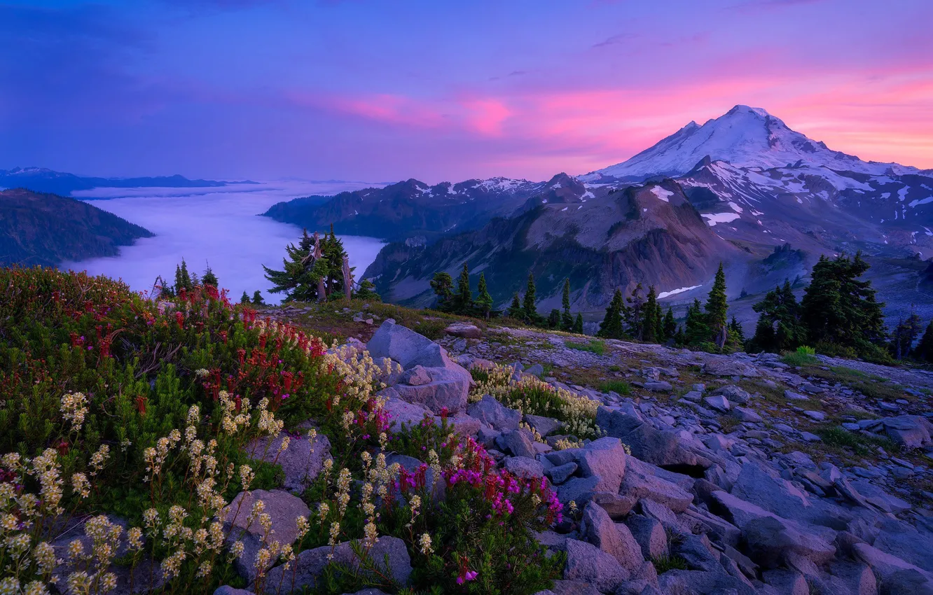 Photo wallpaper flowers, mountains, stones, The cascade mountains, Mount Baker, Washington State, Cascade Range, Washington
