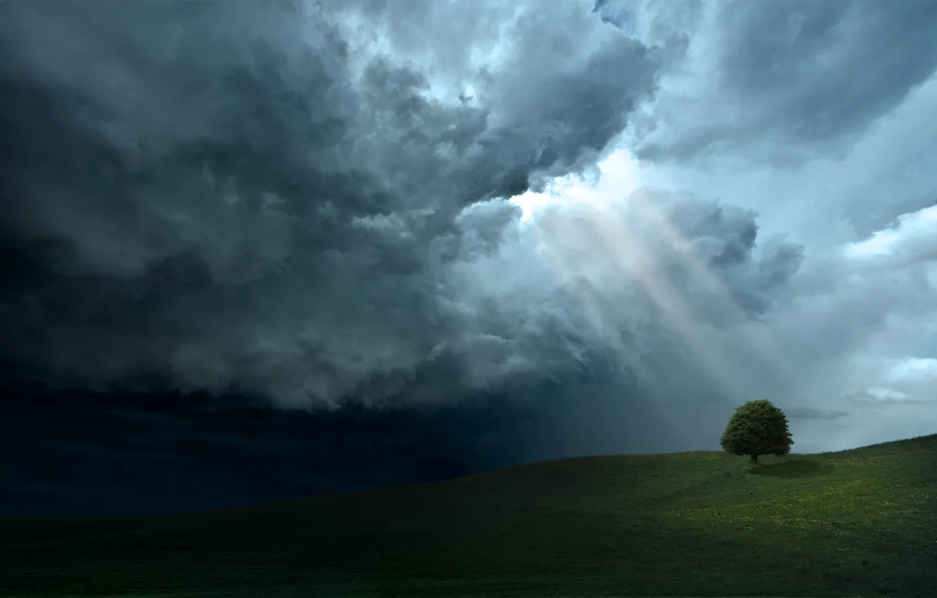 Photo wallpaper the sky, clouds, rays, light, trees, tree, hills, landscapes