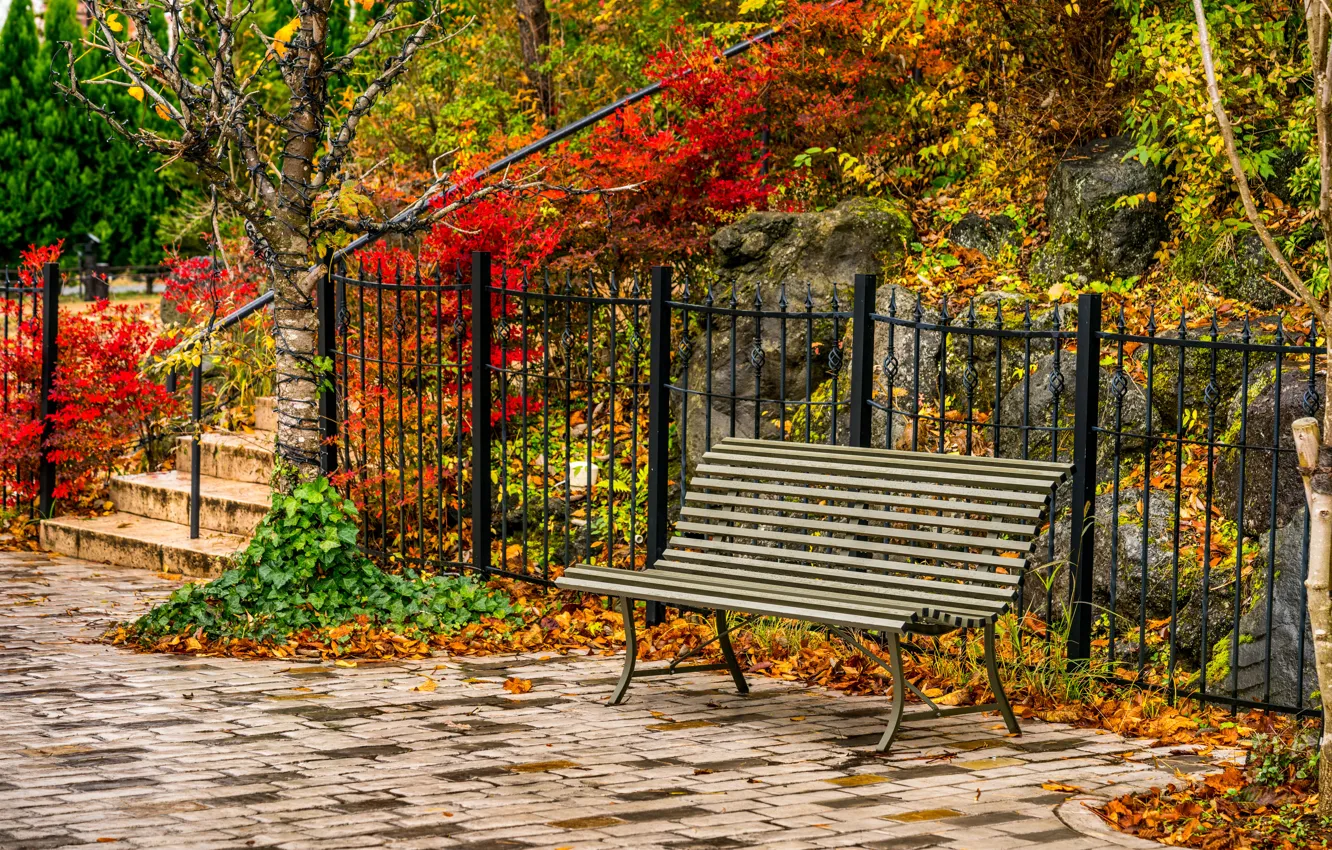 Photo wallpaper autumn, leaves, trees, bench, Park, park, autumn, leaves
