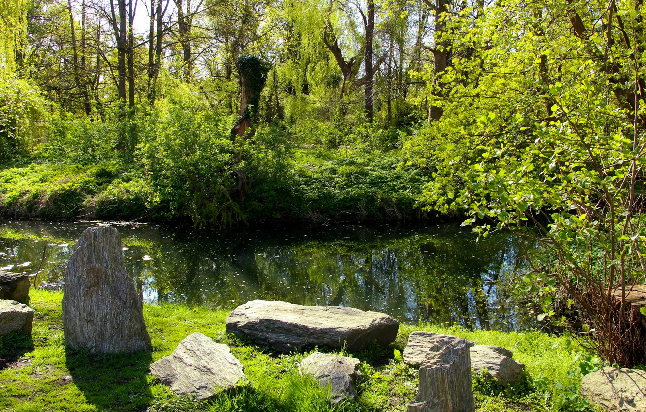 Photo wallpaper trees, water, park, stones, spring, pond