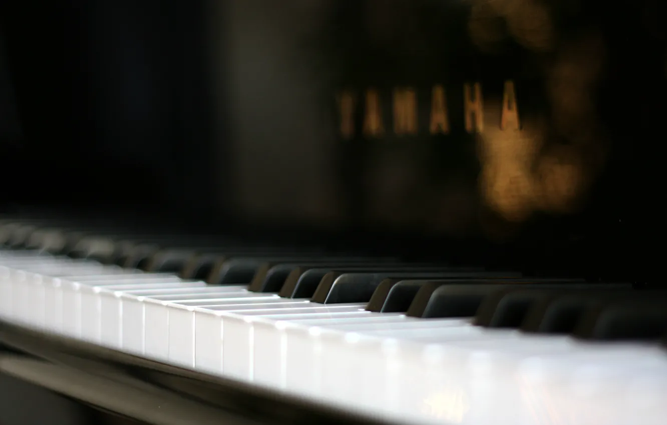 Photo wallpaper macro, piano, macro, plan